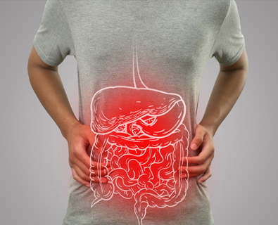 GUT & METABOLIC SYSTEM